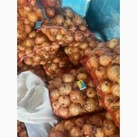 Продам Лук Радар