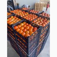 Продам фрукты