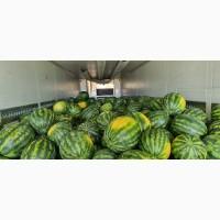 Продам фрукты