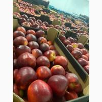 Продам фрукты