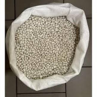 Закуповуємо квасолю білих сортів на переробку