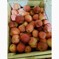 Продам яблука на сушку, сік, пюре, повидно