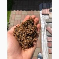 Пропоную тюнтюн без палок та пилі є гільзи, машинки, люльки, мундштуки