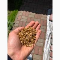 Пропоную тюнтюн без палок та пилі є гільзи, машинки, люльки, мундштуки