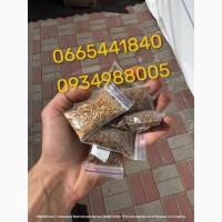 Пропоную тюнтюн без палок та пилі є гільзи, машинки, люльки, мундштуки