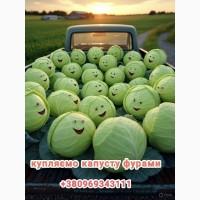 Купляємо капусту молоду великі об#039; єми