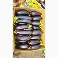 Продам баклажан
