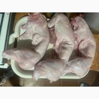 Домашня мʼясо кролика, кролятина, на домашніх кормах