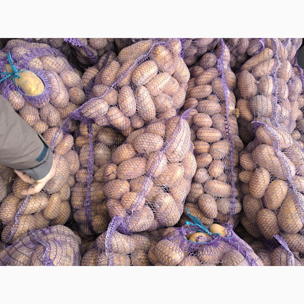 Продам товарну картоплю Белла роса, Берніна, Циганка, королева анна