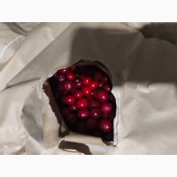 Продам вишню з кісточкою шокової заморозки 2025 р.в
