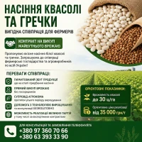 Насіння квасолі та гречки - вигідна співпраця для фермерів