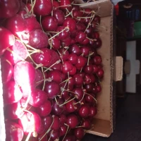 Продам черешню