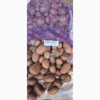 Продам картоплю