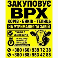 Куплю ВРХ