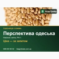 Пшениця озима Перспектива одеська: сертифіковане насіння (СГІ, Одеса)