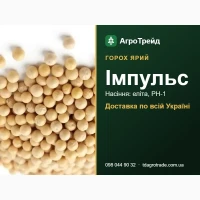 Насіння: горох ярий Імпульс - еліта, РН-1, від 29 700 грн/т