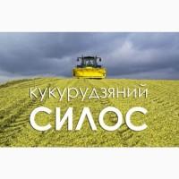 Продам силос