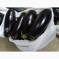 Продам баклажан