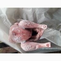 Продаю мясо индюшки