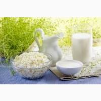 Продам домашнее коровье молоко, творог, сметану, сливки, масло