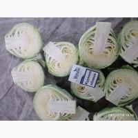 Продам капусту белокочанную 2 сорта.От производителя