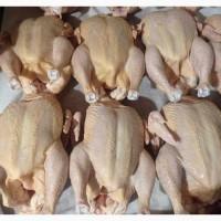 Продам тушки бройлерів