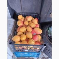 Продам грушу