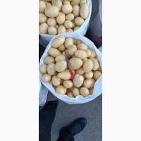 Продам миту та немиту молоду картоплю