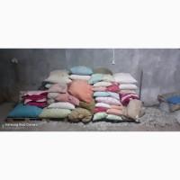 Купимо піря ОпТоМ