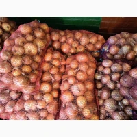 Продам цибулю опт