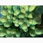 Продам капусту