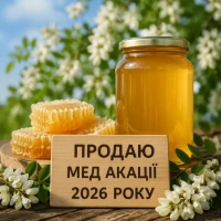 Продам акацію 2026 року