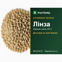 Сортове насіння зеленої сочевиці Лінза