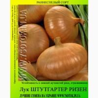 Семена лука «Штутгартер Ризен», высокая всхожесть