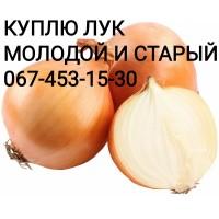 Куплю цибулю багато