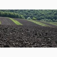 Продам землю 500 Га. Ровенская область
