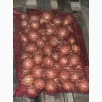 Продам цибулю вищий сорт
