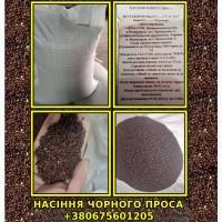 Продадим Семена ПРОСО / Просо посівне