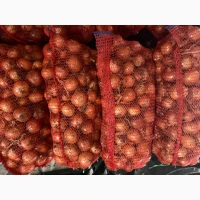 Продам цибулю нал, безлал з ПДВ