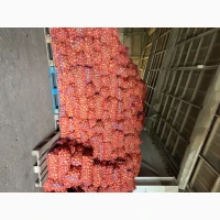 Продам цибулю нал, безлал з ПДВ