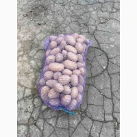 Продам картоплю