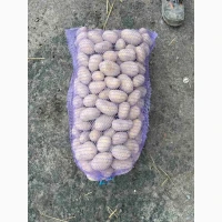 Продам картоплю