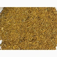 Продам просо