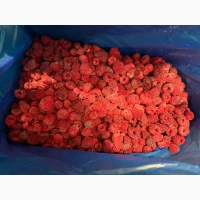 Куплю органічну малину