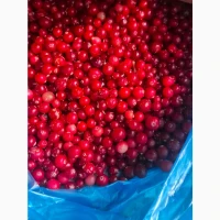 Продам Журавлину