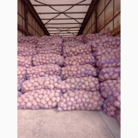 Продам товарный картофель, сорту Белла Росса