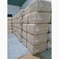 Prime Cashew | Wholesale Cashew Nuts Supplier | Cashew Nuts Exporter | Cashew Processing