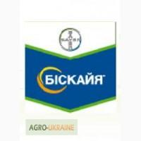Біскайя 240 о.д