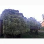 Продам тюкованное СЕНО, СОЛОМУ.Доставка