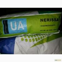 Кукуруза syngenta nerissa f1